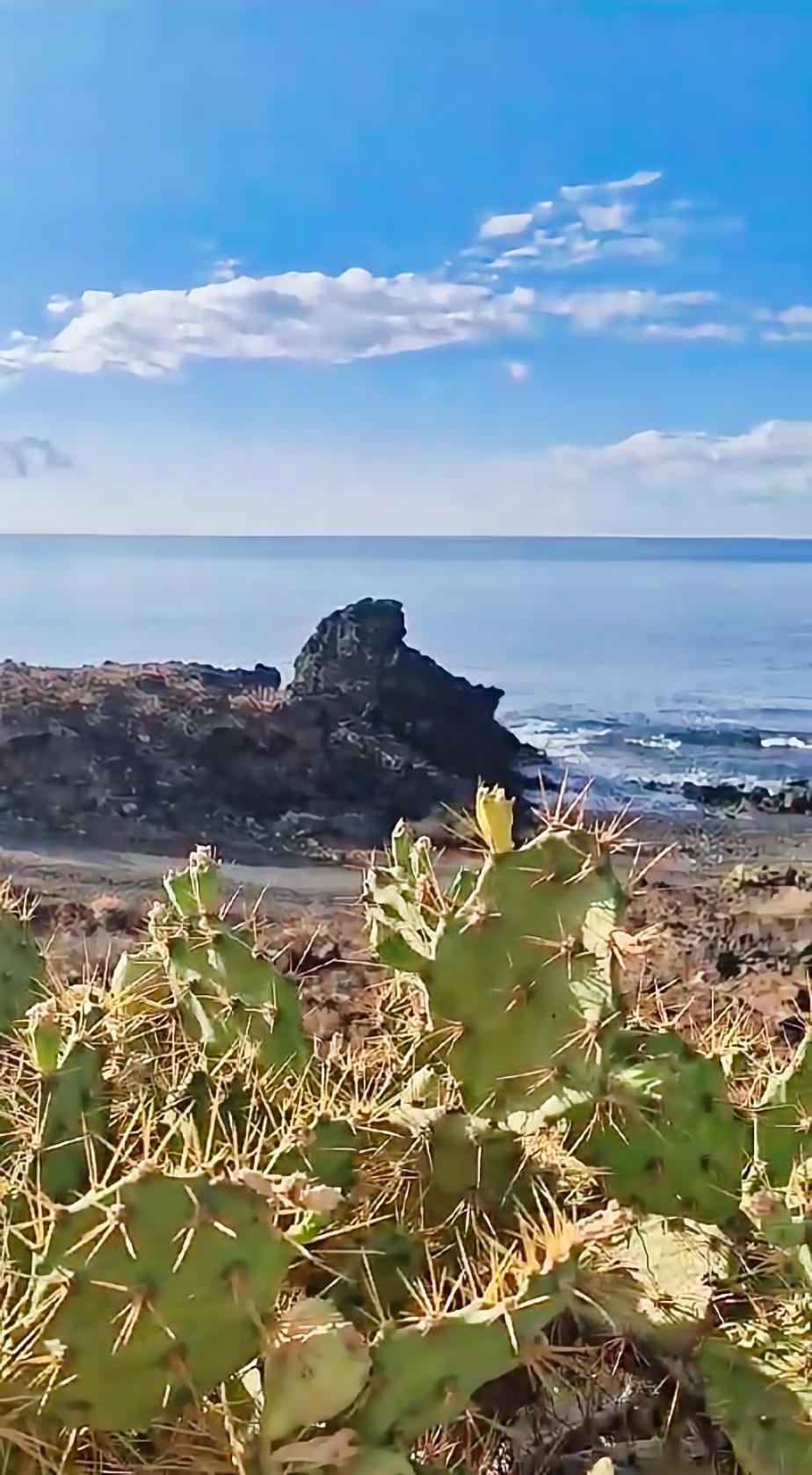 Casa Palmu Apartment - A Peaceful And Relaxing Oasis In Golf Del Sur, Tenerife سان ميغيل ذي أبونا المظهر الخارجي الصورة