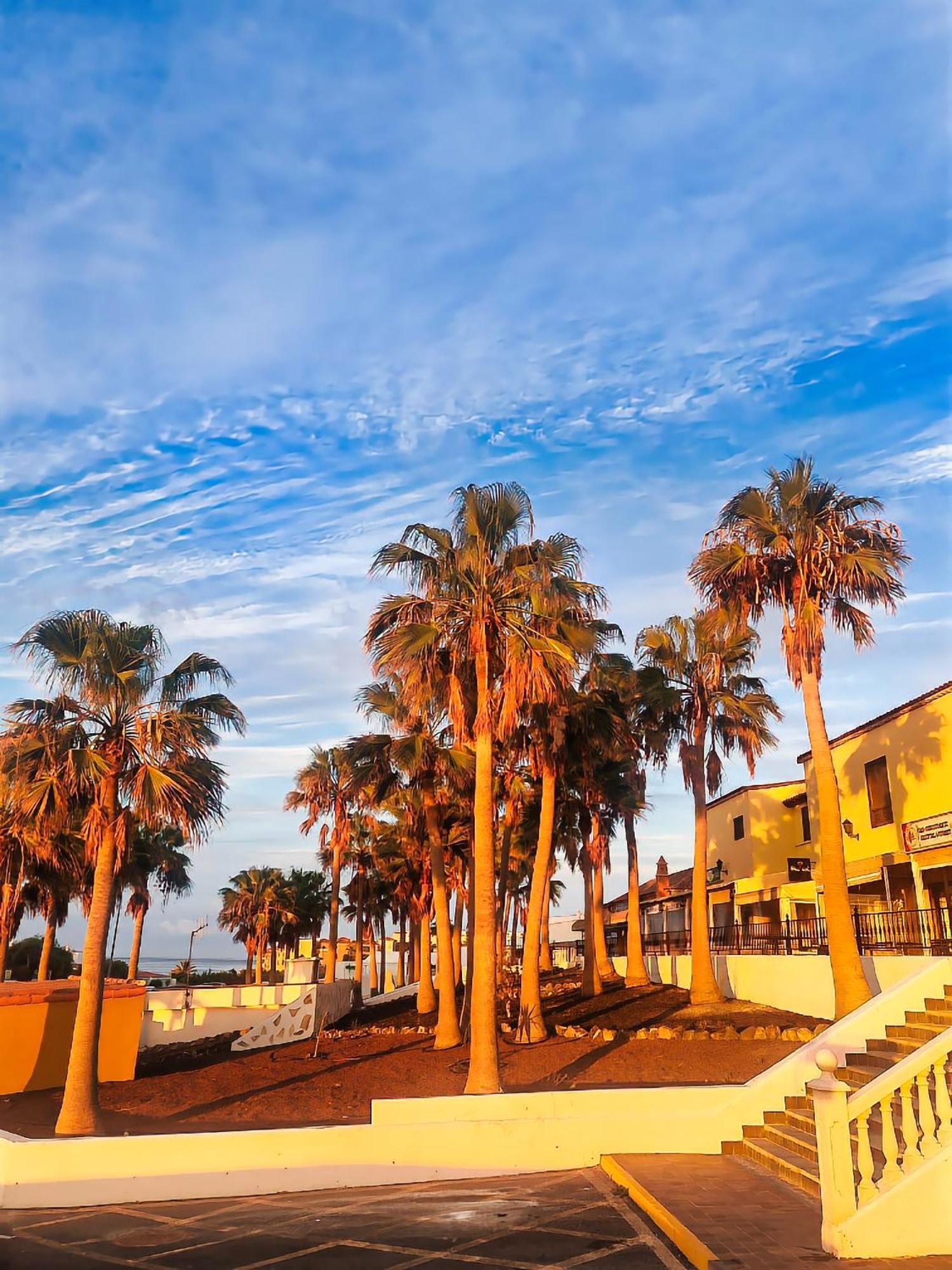 Casa Palmu Apartment - A Peaceful And Relaxing Oasis In Golf Del Sur, Tenerife سان ميغيل ذي أبونا المظهر الخارجي الصورة
