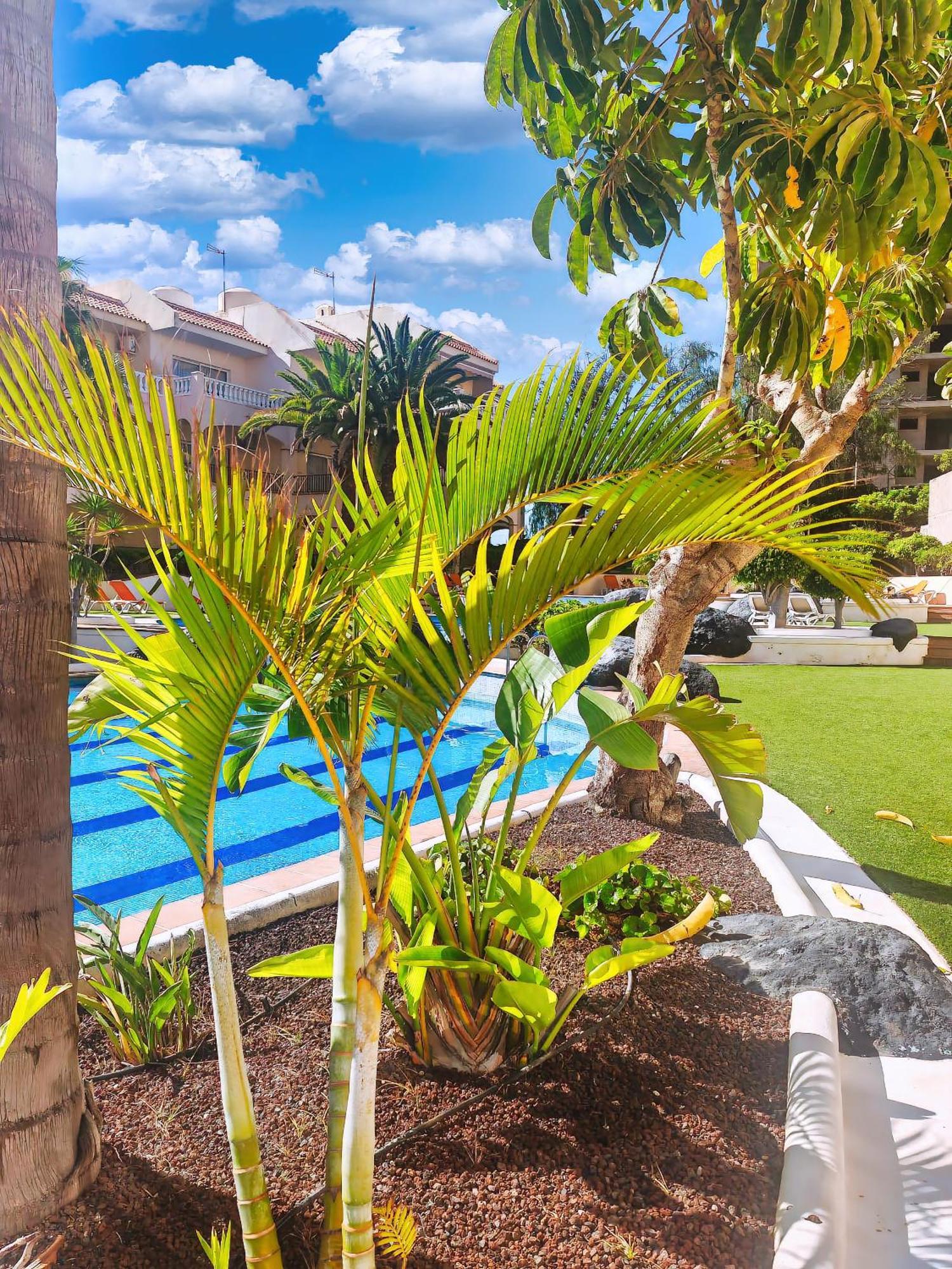 Casa Palmu Apartment - A Peaceful And Relaxing Oasis In Golf Del Sur, Tenerife سان ميغيل ذي أبونا المظهر الخارجي الصورة